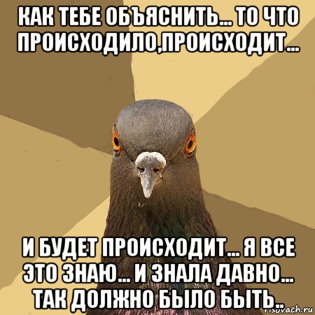 как тебе объяснить... то что происходило,происходит... и будет происходит... я все это знаю... и знала давно... так должно было быть.., Мем голубь