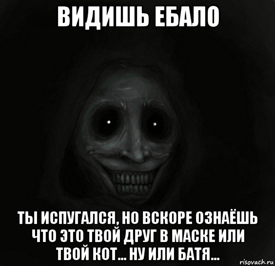 видишь ебало ты испугался, но вскоре ознаёшь что это твой друг в маске или твой кот... ну или батя..., Мем Ночной гость