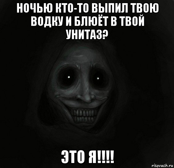 ночью кто-то выпил твою водку и блюёт в твой унитаз? это я!!!!, Мем Ночной гость