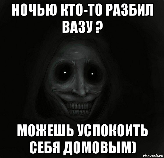 ночью кто-то разбил вазу ? можешь успокоить себя домовым), Мем Ночной гость