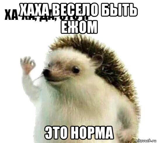 хаха весело быть ежом это норма, Мем Ха-ха да это я