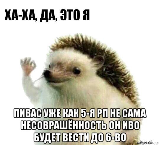  пивас уже как 5-я рп не сама несоврашённость он иво будет вести до 6-во, Мем Ха-ха да это я