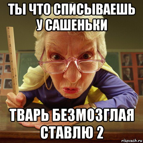 ты что списываешь у сашеньки тварь безмозглая ставлю 2, Мем Злая училка