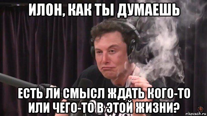 илон, как ты думаешь есть ли смысл ждать кого-то или чего-то в этой жизни?, Мем Илон Маск