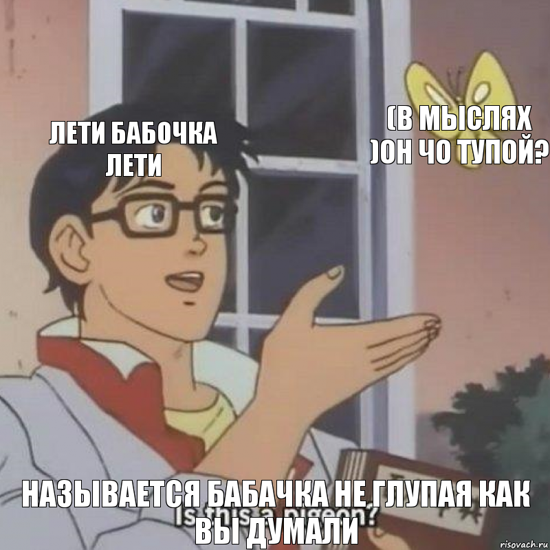 Лети бабочка лети (в мыслях )он чо тупой? Называется Бабачка не глупая как вы думали