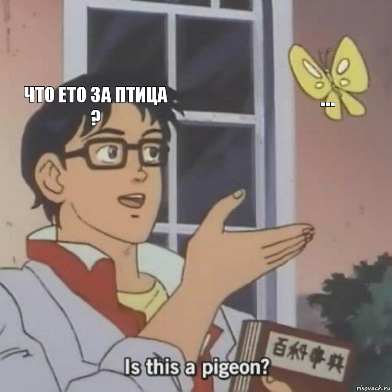 ЧТО ЕТО ЗА ПТИЦА ? ... 