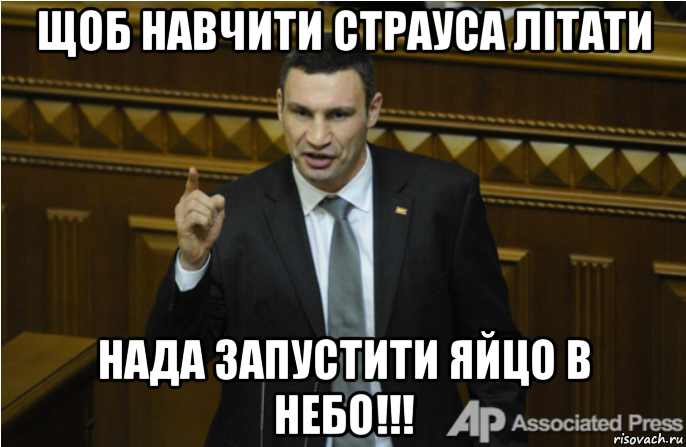 щоб навчити страуса літати нада запустити яйцо в небо!!!, Мем кличко философ