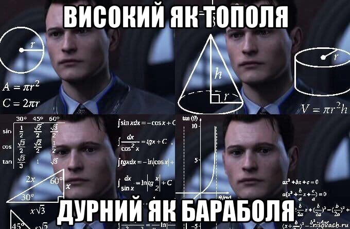 високий як тополя дурний як бараболя