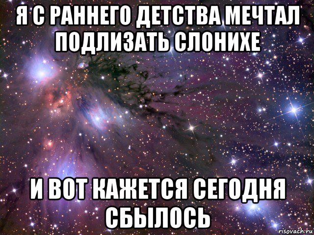 я с раннего детства мечтал подлизать слонихе и вот кажется сегодня сбылось