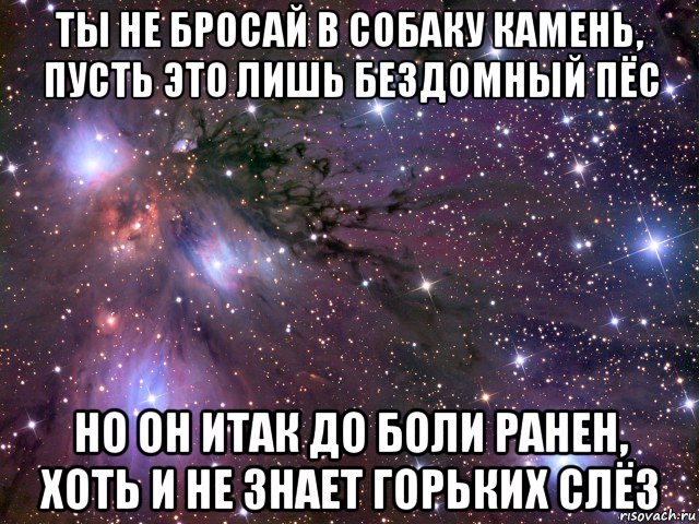 ты не бросай в собаку камень, пусть это лишь бездомный пёс но он итак до боли ранен, хоть и не знает горьких слёз, Мем Космос