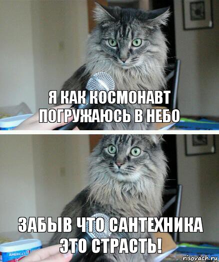 я как космонавт погружаюсь в небо забыв что сантехника это страсть!, Комикс  кот с микрофоном