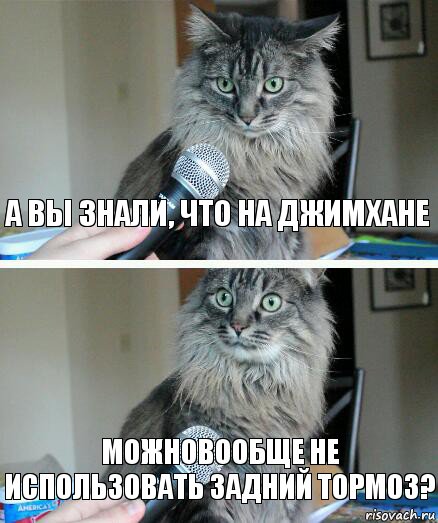 А вы знали, что на джимхане можновообще не использовать задний тормоз?, Комикс  кот с микрофоном