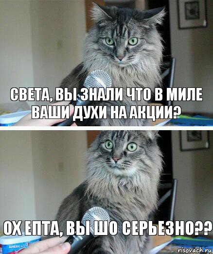 Света, вы знали что в Миле ваши духи на акции? Ох епта, вы шо серьезно??, Комикс  кот с микрофоном