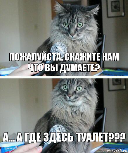 Пожалуйста, скажите нам что вы думаете? А... А где здесь туалет???, Комикс  кот с микрофоном