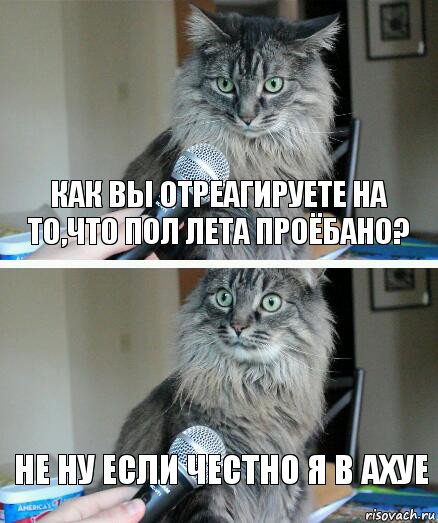 Как вы отреагируете на то,что пол лета проёбано? Не ну если честно я в ахуе, Комикс  кот с микрофоном