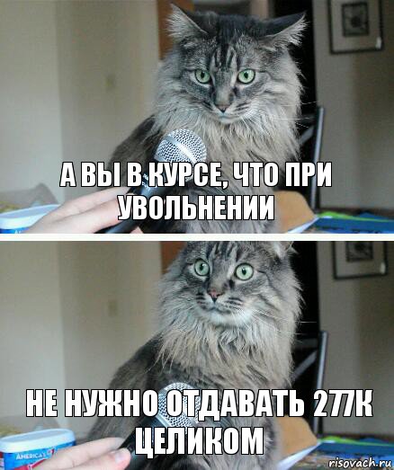 А вы в курсе, что при увольнении не нужно отдавать 277к целиком, Комикс  кот с микрофоном