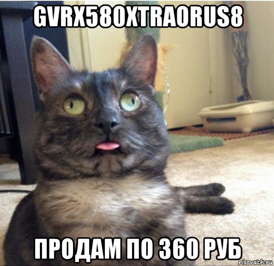 gvrx580xtraorus8 продам по 360 руб, Мем   Кот завис