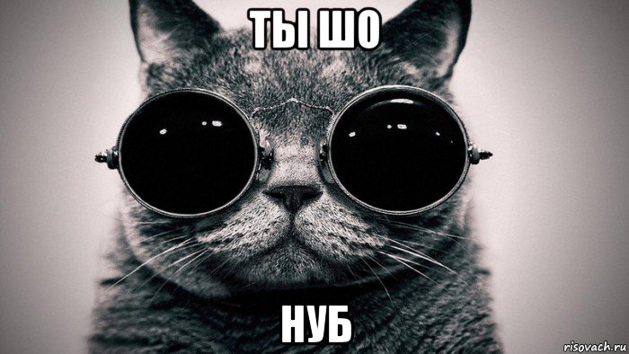 ты шо нуб