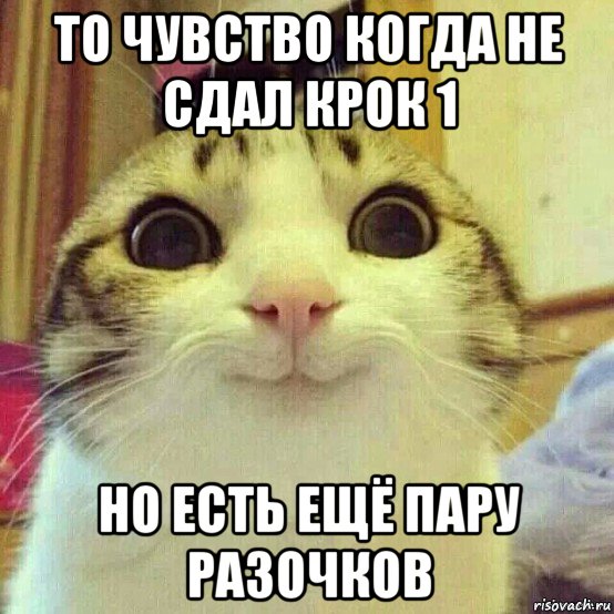 то чувство когда не сдал крок 1 но есть ещё пару разочков, Мем       Котяка-улыбака