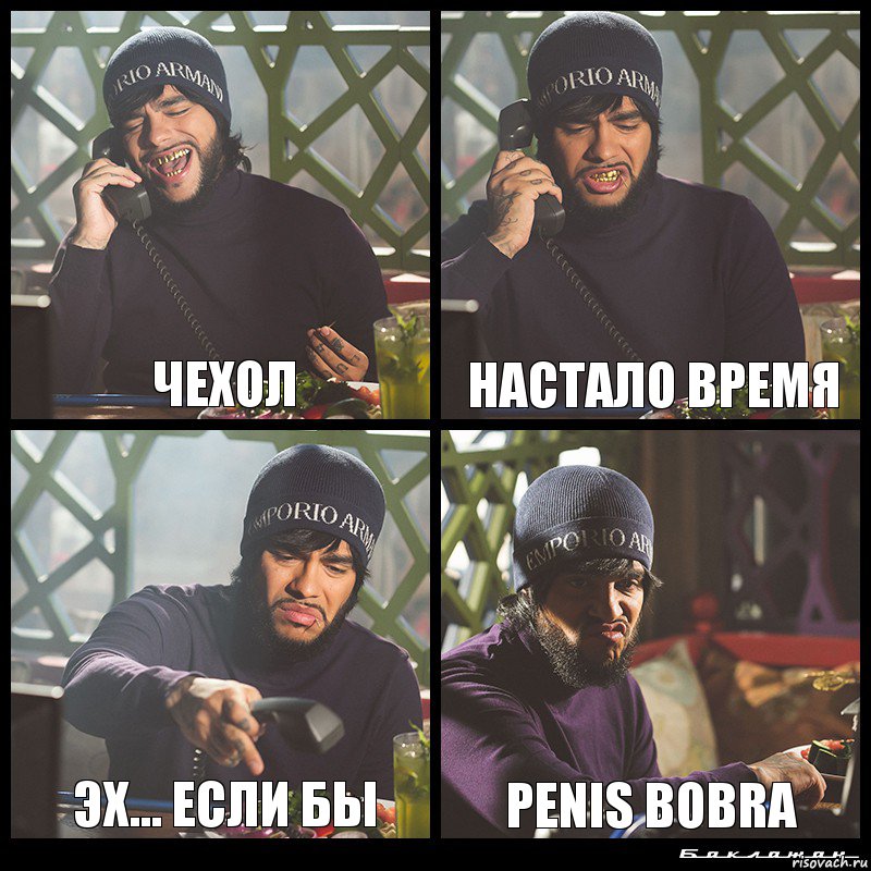 Чехол Настало время Эх... если бы Penis Bobra