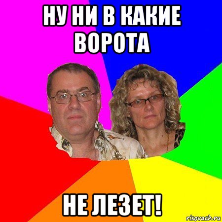 ну ни в какие ворота не лезет!