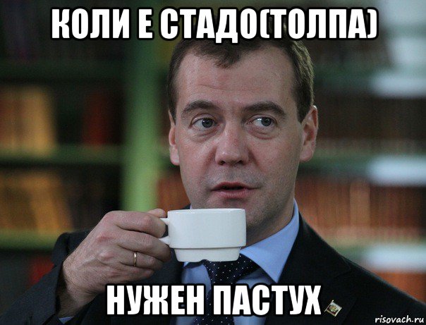 коли е стадо(толпа) нужен пастух, Мем Медведев спок бро