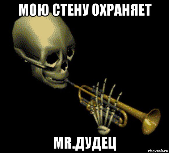 мою стену охраняет mr.дудец