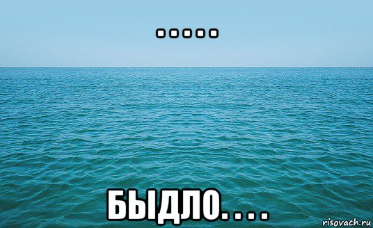 . . . . . быдло. . . ., Мем Море