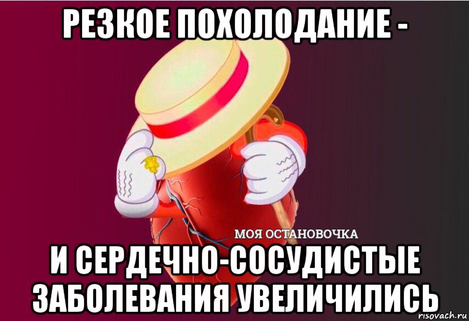 резкое похолодание - и сердечно-сосудистые заболевания увеличились, Мем   Моя остановочка