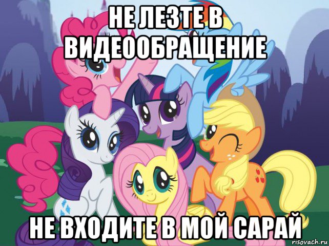 не лезте в видеообращение не входите в мой сарай, Мем My little pony