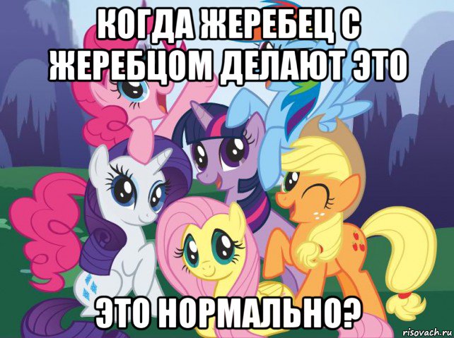 когда жеребец с жеребцом делают это это нормально?, Мем My little pony