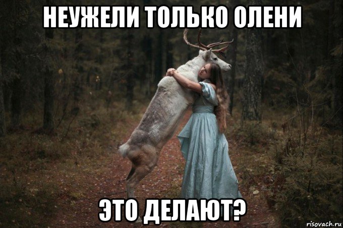 неужели только олени это делают?