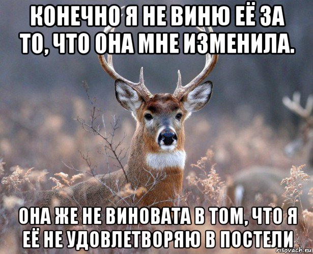 конечно я не виню её за то, что она мне изменила. она же не виновата в том, что я её не удовлетворяю в постели, Мем   Наивный олень