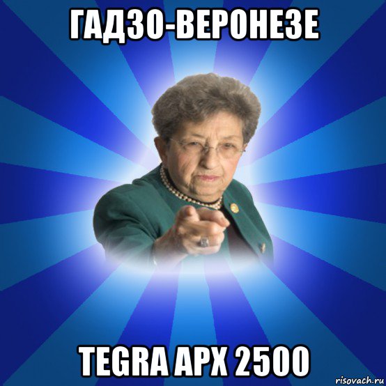 гадзо-веронезе tegra apx 2500, Мем Наталья Ивановна