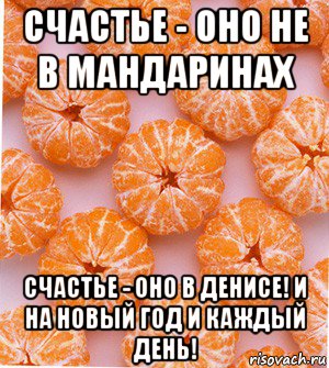 счастье - оно не в мандаринах счастье - оно в денисе! и на новый год и каждый день!, Мем  НОВОГОДНИЕ СЕМКИ