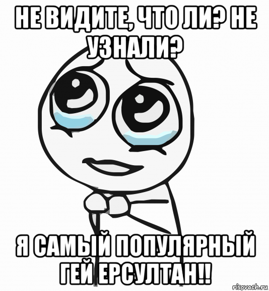 не видите, что ли? не узнали? я самый популярный гей ерсултан!!, Мем  ну пожалуйста (please)