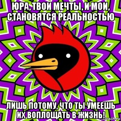 юра, твои мечты, и мои, становятся реальностью лишь потому, что ты умеешь их воплощать в жизнь!, Мем Омская птица