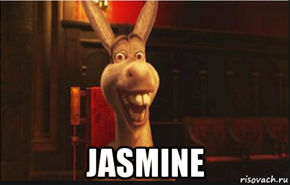  jasmine, Мем Осел из Шрека