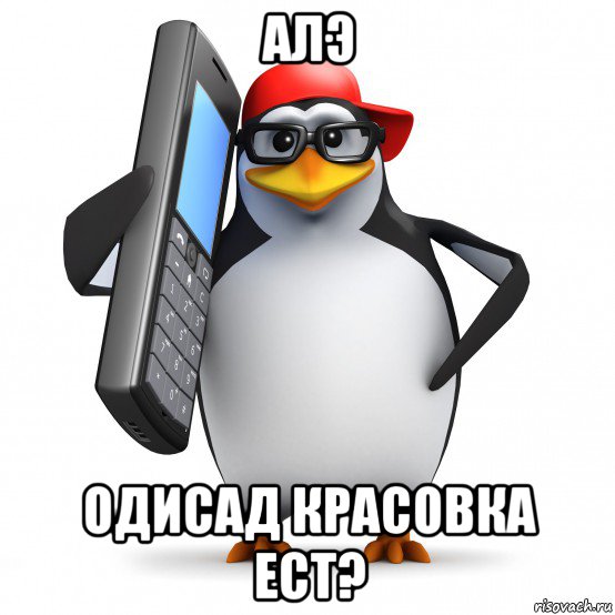 алэ одисад красовка ест?, Мем   Пингвин звонит