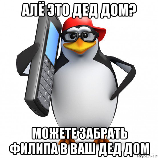 алё это дед дом? можете забрать филипа в ваш дед дом, Мем   Пингвин звонит