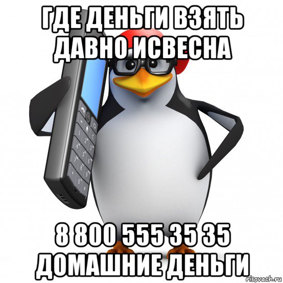 где деньги взять давно исвесна 8 800 555 35 35 домашние деньги, Мем   Пингвин звонит