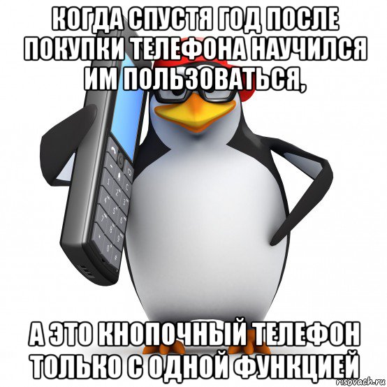 когда спустя год после покупки телефона научился им пользоваться, а это кнопочный телефон только с одной функцией, Мем   Пингвин звонит