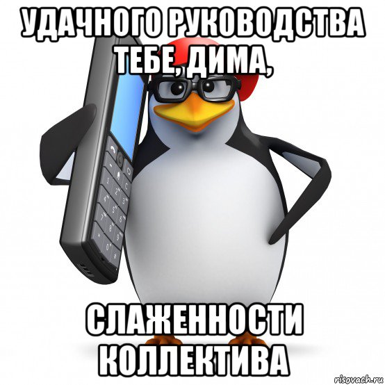 удачного руководства тебе, дима, слаженности коллектива, Мем   Пингвин звонит