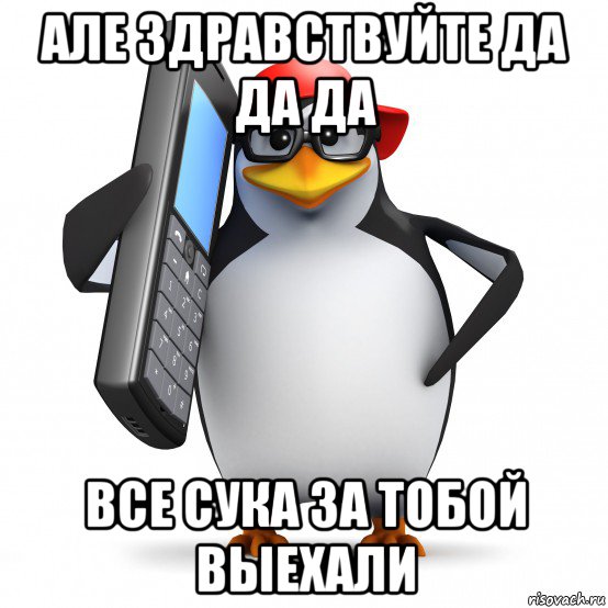 але здравствуйте да да да все сука за тобой выехали, Мем   Пингвин звонит