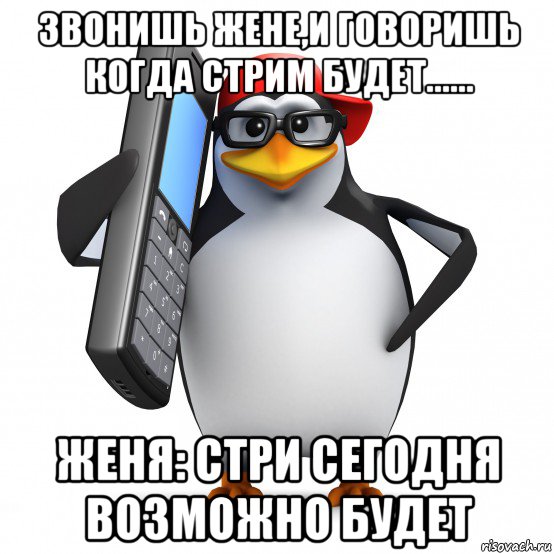 звонишь жене,и говоришь когда стрим будет...... женя: стри сегодня возможно будет, Мем   Пингвин звонит