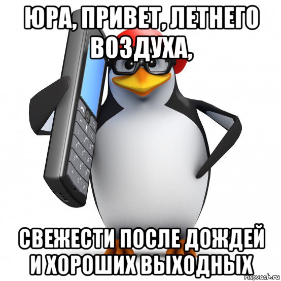 юра, привет, летнего воздуха, свежести после дождей и хороших выходных, Мем   Пингвин звонит