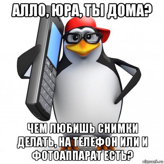 алло, юра, ты дома? чем любишь снимки делать, на телефон или и фотоаппарат есть?, Мем   Пингвин звонит