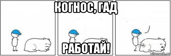 когнос, гад работай!