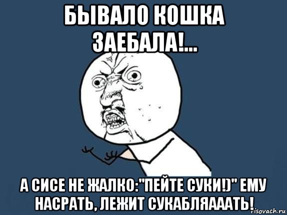 бывало кошка заебала!... а сисе не жалко:"пейте суки!)" ему насрать, лежит сукабляааать!, Мем  почему мем