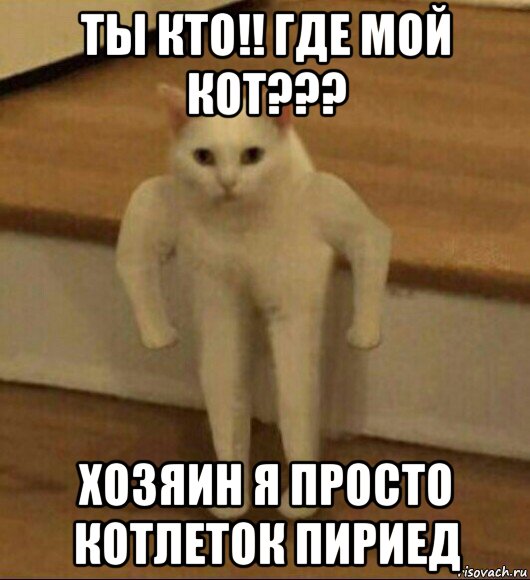 ты кто!! где мой кот??? хозяин я просто котлеток пириед, Мем  Полукот